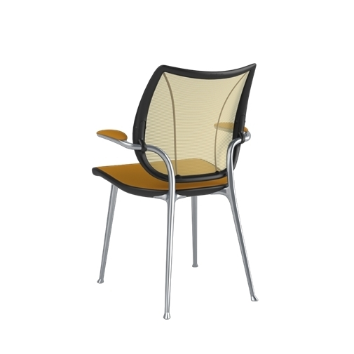 A - Polished Aluminum with Black Trim for Liberty Side chair